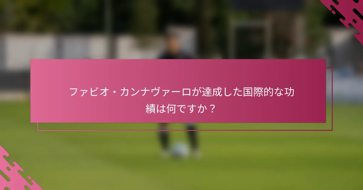 ファビオ・カンナヴァーロが達成した国際的な功績は何ですか？